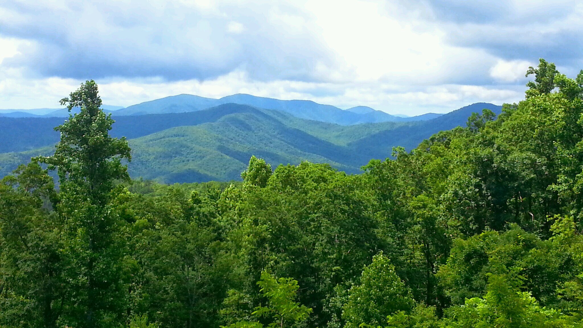 PSUHotshoe's profile picture. WE ARE PENN STATE