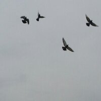 바람 (@hyunhee516) 's Twitter Profile