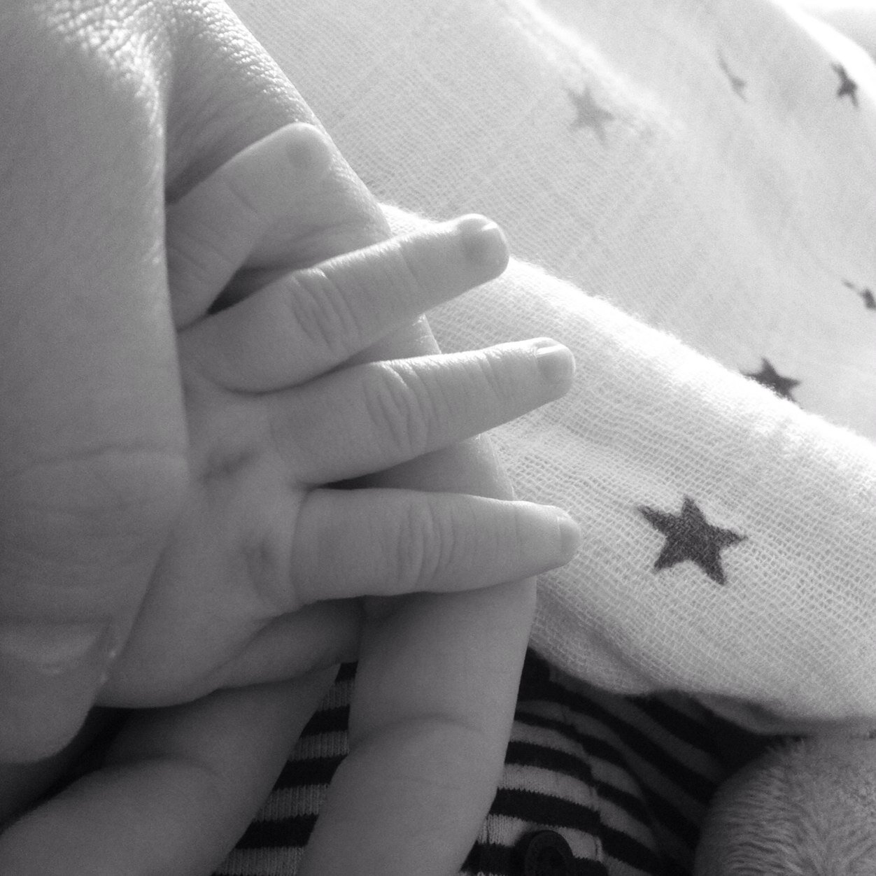 nsturnbull's profile picture. 