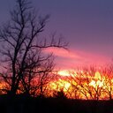 Susan Staats - @StaatsSusan - Twitter