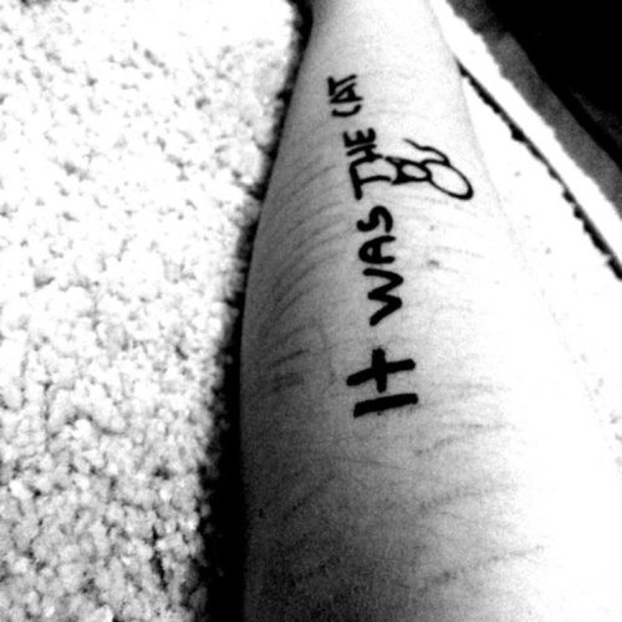 perchesoffro's profile picture. Non si piange perchè si è deboli, ma perchè si soffre.