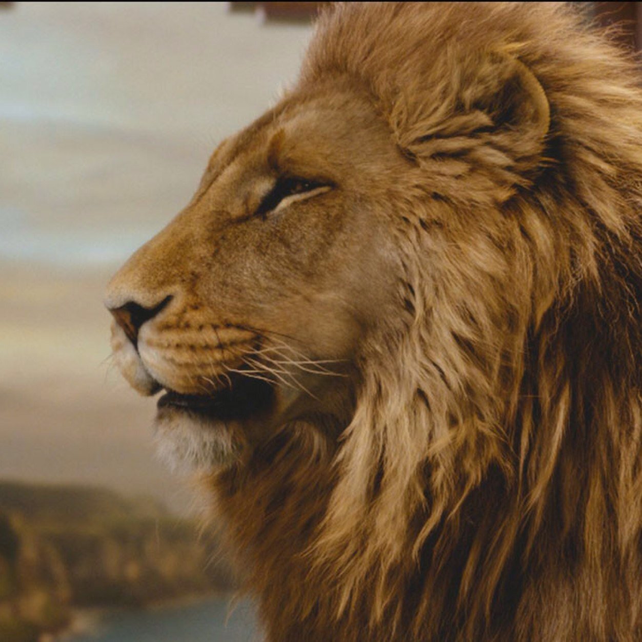Sono Aslan, responsabile del nrgdr roar. Twitshort: http://t.co/nct4t5tgPP