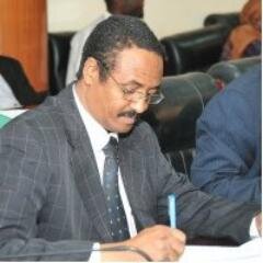 Vice President of the African Network of Constitutional Lawyers ANCL