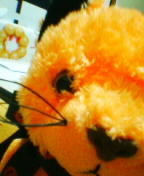 kanchi_206xtp's profile picture. Web & Graphic Designer. WordPress, Bootstrap, jquery, CSS, SEO, UI/UX // WEBサイト制作がメインのデザイナー。WordPress 勉強会のアドバイザー。/ 2019.11 update