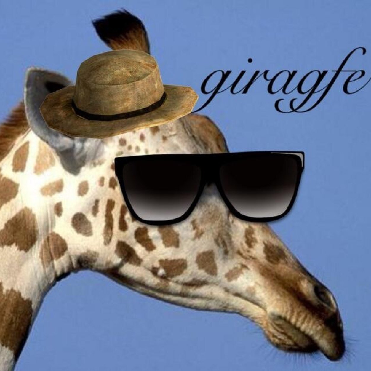 giragfe is my favourite band im the singr