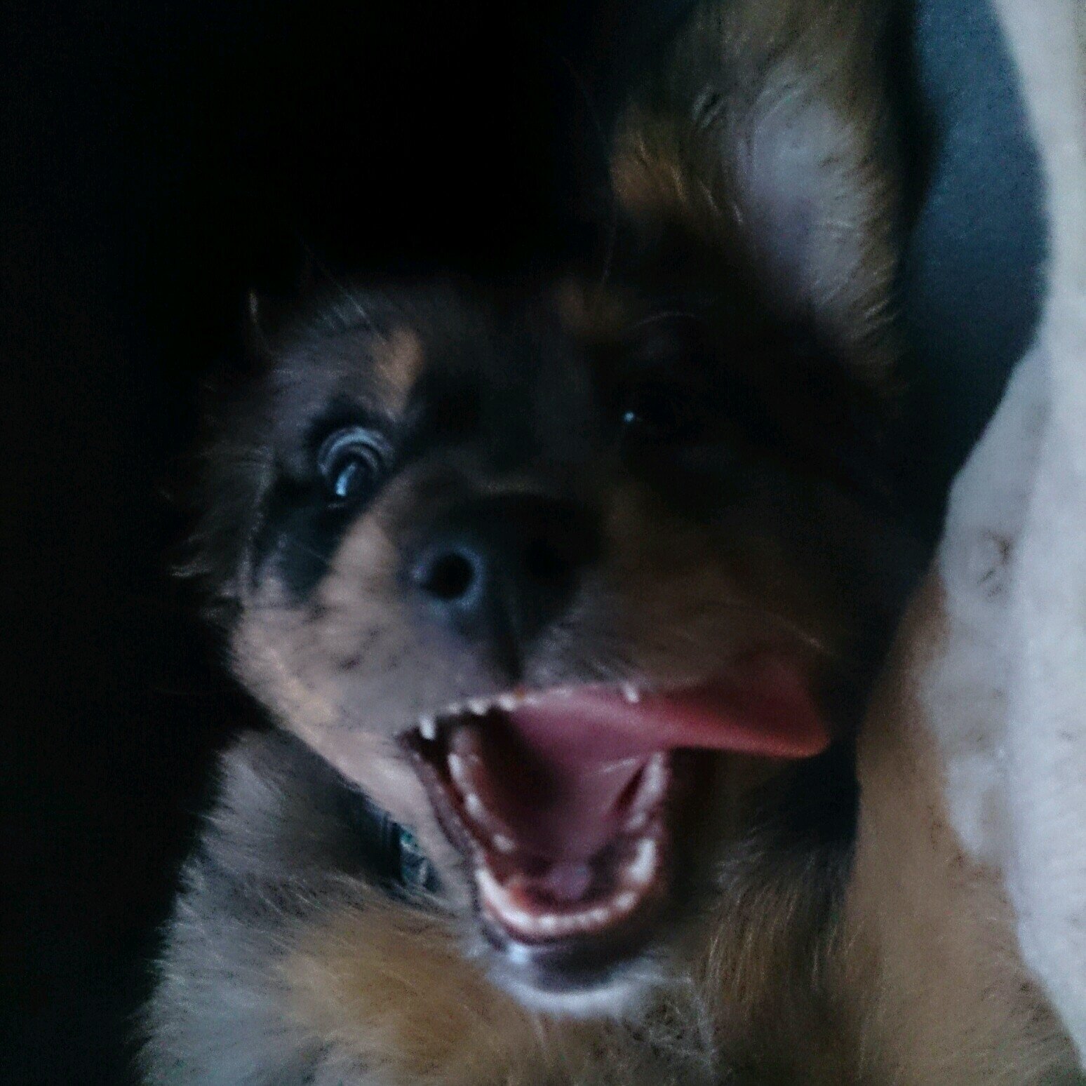 la_gossa's profile picture. 