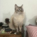 Maritza Agudelo Ayal - @maaguaya - Twitter