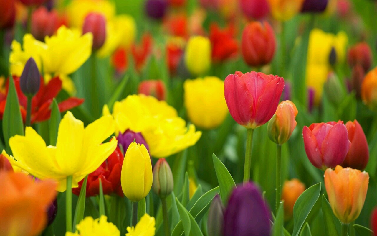 Appreciating the wonder of life.. Admiring the great things it offers..!