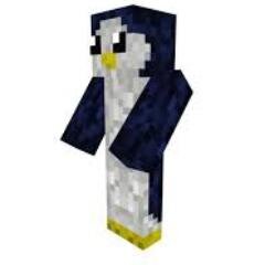 Just A Gamer Who Play Games and Post it on you tube Go Check my Channel Out,, -Mine craft- And many more games