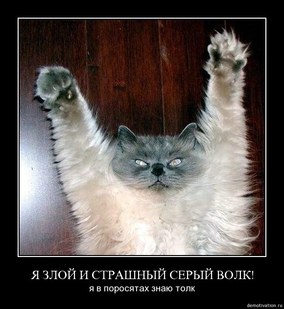 vixengq's profile picture. 