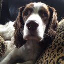  alan kimpel - @_kimpel - Twitter