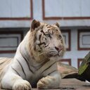 Henk Evers - @marjanneenhenk - Twitter