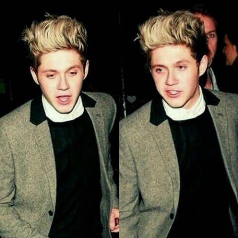 The higher I get; the lower I'll sink. {Not Niall Horan}