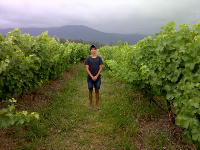 13ChrisvH's profile picture. Swimmer !! Hated by Few ,Loved by Many ,Respected by ALL!!