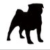 Andy Smith (@andysmith1) Twitter profile photo