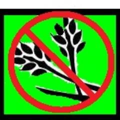 GoNoGrain Profile Picture