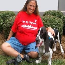 sixbear's profile picture. it