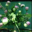 JEROME GRAY - @GRAYJerome12 - Twitter