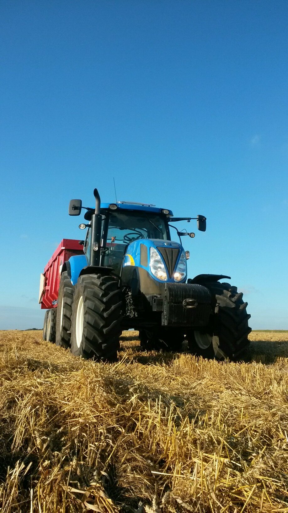 mc_farmerTX's profile picture. Wannabe thug