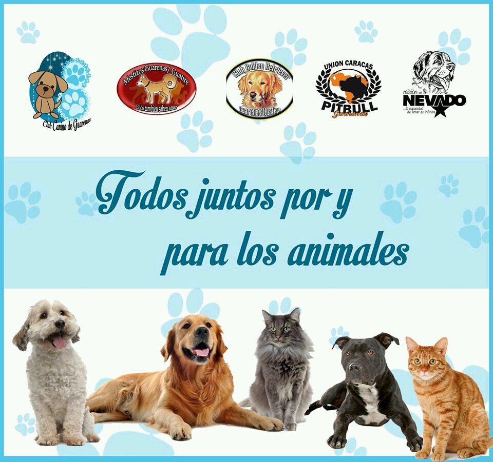 Apoyamos la labor con animales calle, adopciones y esterilizaciones!! Creando cultura animalista en Guarenas!! trabajando en equipo...