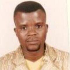 International Development Consultant and human Resource specialist.Give advice in strategy,management,and organisation.