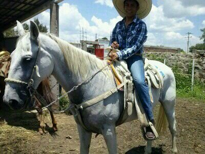 Chaparro