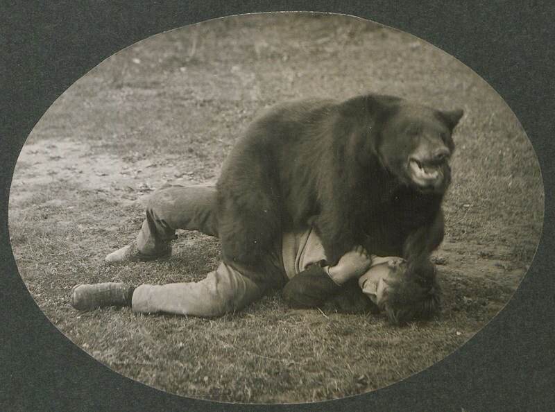 livertheband's profile picture. drunk-friendly canadian rock band.