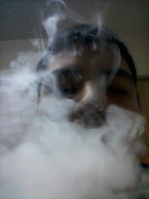 ilovepandas_1's profile picture. 