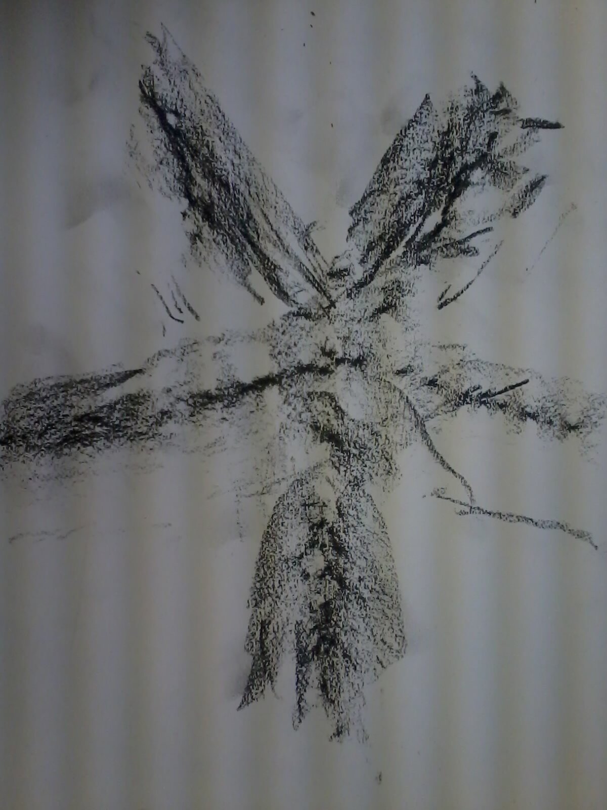 mutism_story's profile picture. I have Selective Mutism, I want share my story to help others and raise awareness.