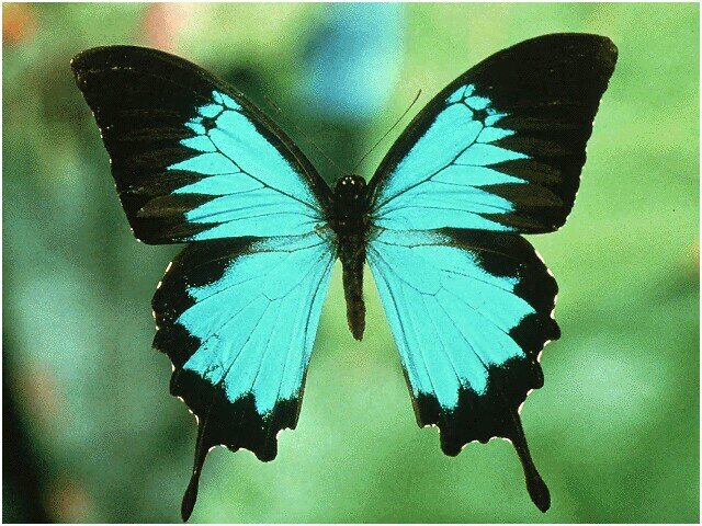 here if you need advice or somebody to talk to ♥ιℓσνєуσυ♥