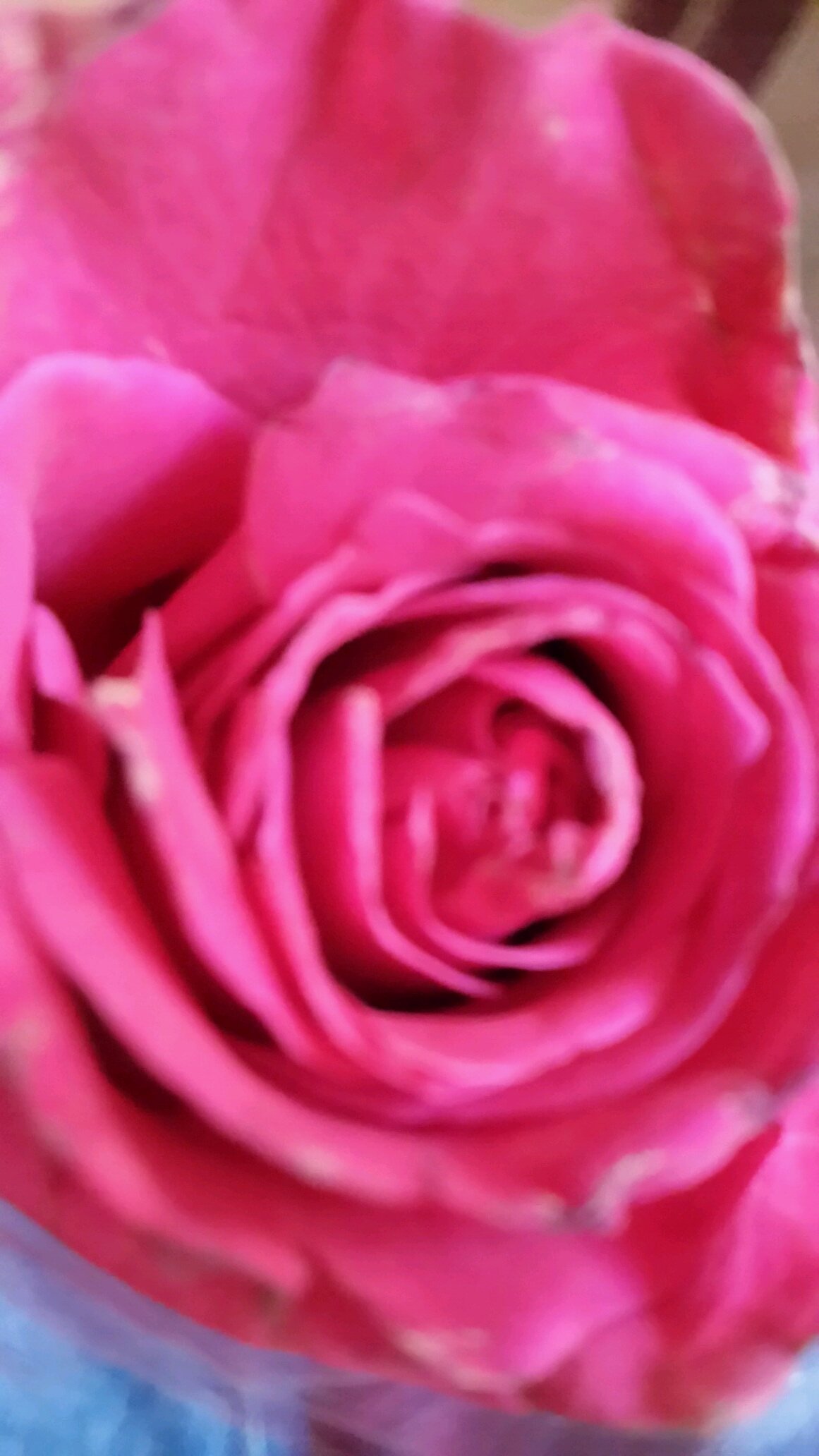 ms_shosho20's profile picture. 