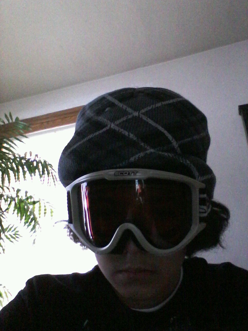 sheepdogsk23's profile picture. 