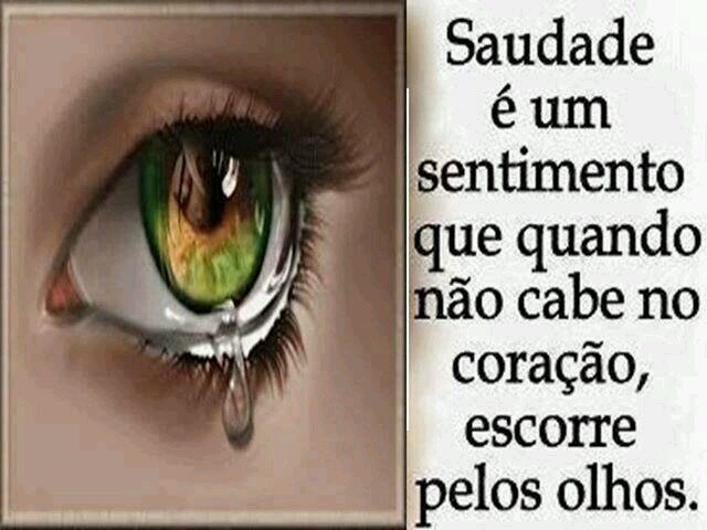 facebook: luciana.alencar.71271@facebook.com
