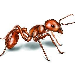 ThinkTESD's profile picture. 