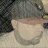 BROBEARDO's profile image