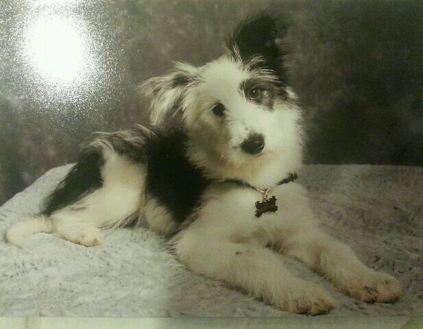 damonjensen's profile picture. always living in the moment....(still)