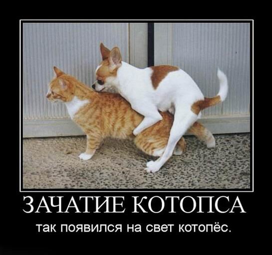 не сдавайся и ты увидишь как сдаются другие