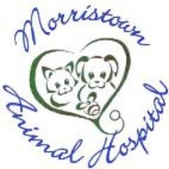 MorristownVet's profile picture. Morristown Animal Hospital is an AAHA Accredited veterinary facility. Our professional & courteous staff provide the best in care to our clients & pets!  🐶🐱 ❤️