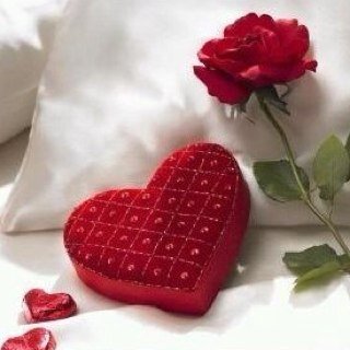 حسبي الله وكفى به نصيرا..