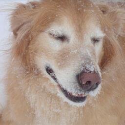 maildabird's profile picture. Fun & freedom loving American livin' th dream