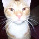  Star Patterson - @stardpatterson - Twitter