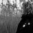 LDNONT_PHOTO's profile image