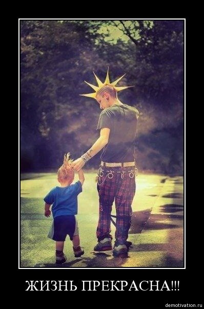 topolung's profile picture. 