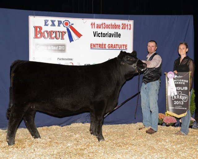 #UOV Aces Bantams J-Star Livestock