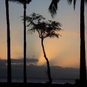 Janet Coster - @janetcoster1 - Twitter