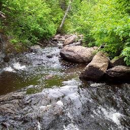 A Regional Chapter of the Society for Freshwater Science focused on increasing communication among those working in the Taiga biome.