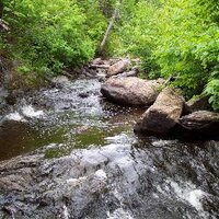 SFS - Taiga (@sfstaiga) 's Twitter Profile