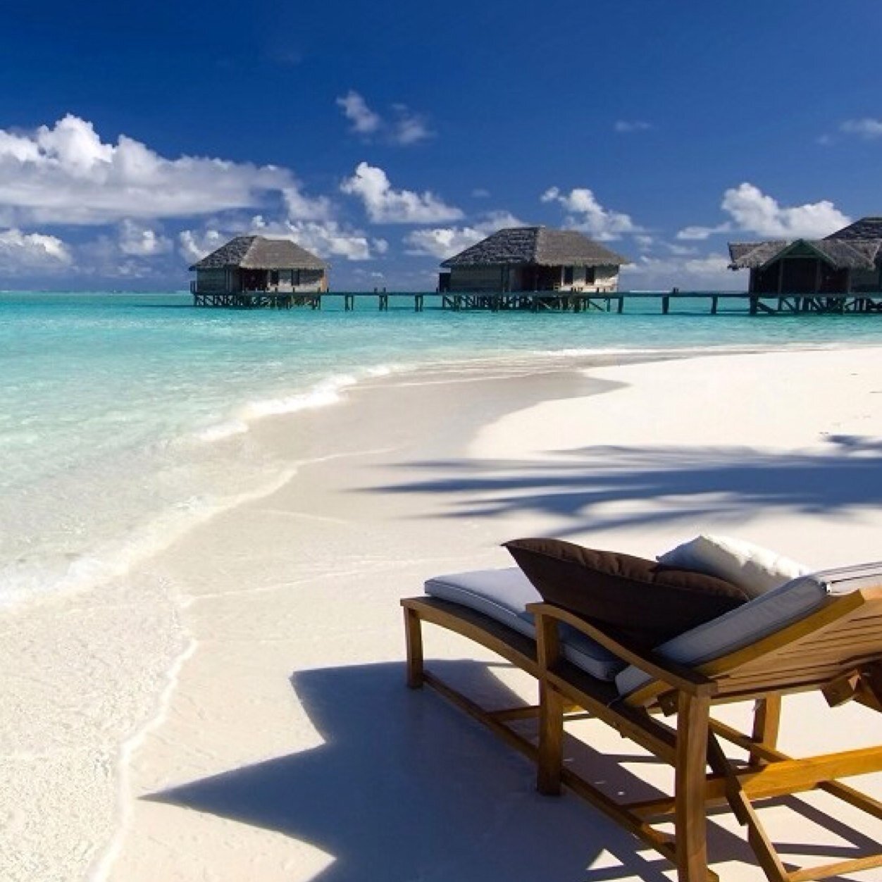 O12Cheryl's profile picture. ここは放置でしたが。。。 クイーン 、フレディ関連で最近復活しました。不慣れなので恐縮です。無言フォロー大変失礼します。。たまに猫ネタ、小田和正さん、愚痴、毒吐きます。雑です。🙇‍♀️🙇‍♀️🙇‍♀️