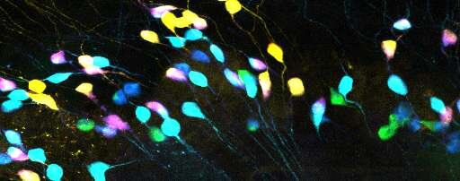 sciencebasics's profile picture. Everyone is curious! Learn a new fact with every tweet. The world around you is more complicated than it seems.