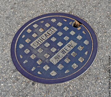 ChiSewer's profile picture. as the fucking name insinuates